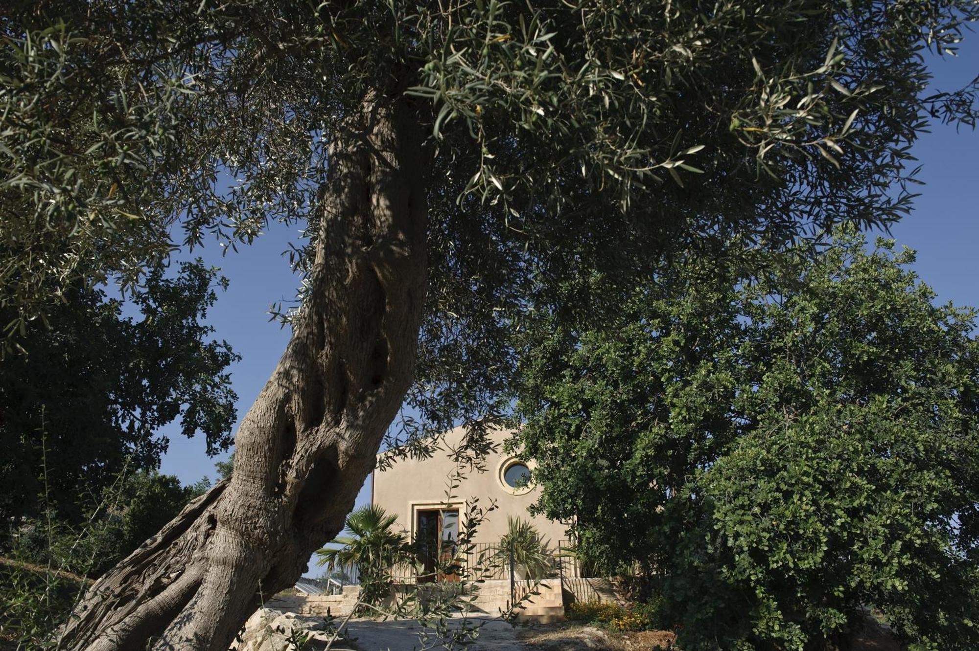 فندق Relais Parco Cavalonga دونافوغاتا الغرفة الصورة