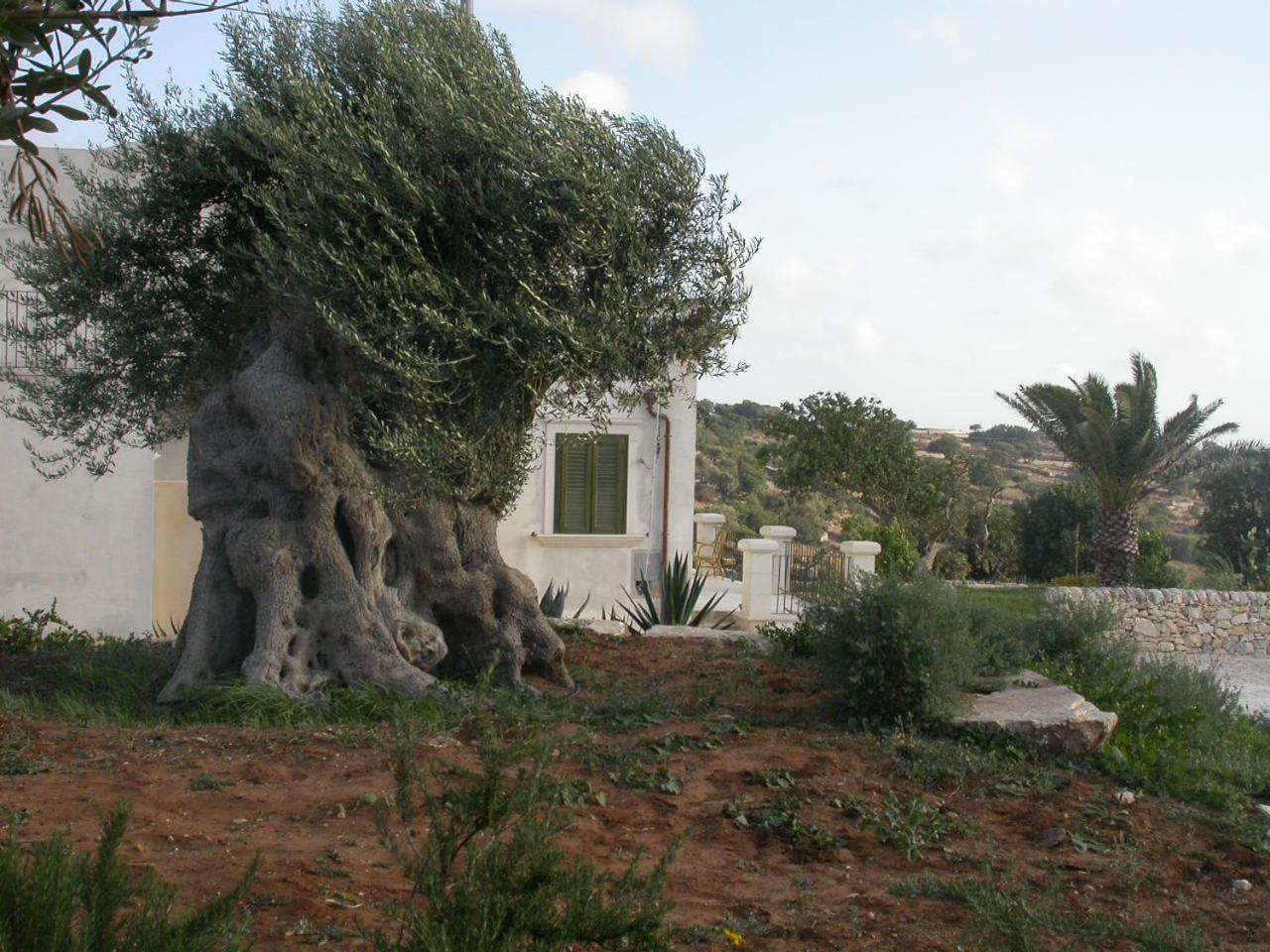 فندق Relais Parco Cavalonga دونافوغاتا المظهر الخارجي الصورة