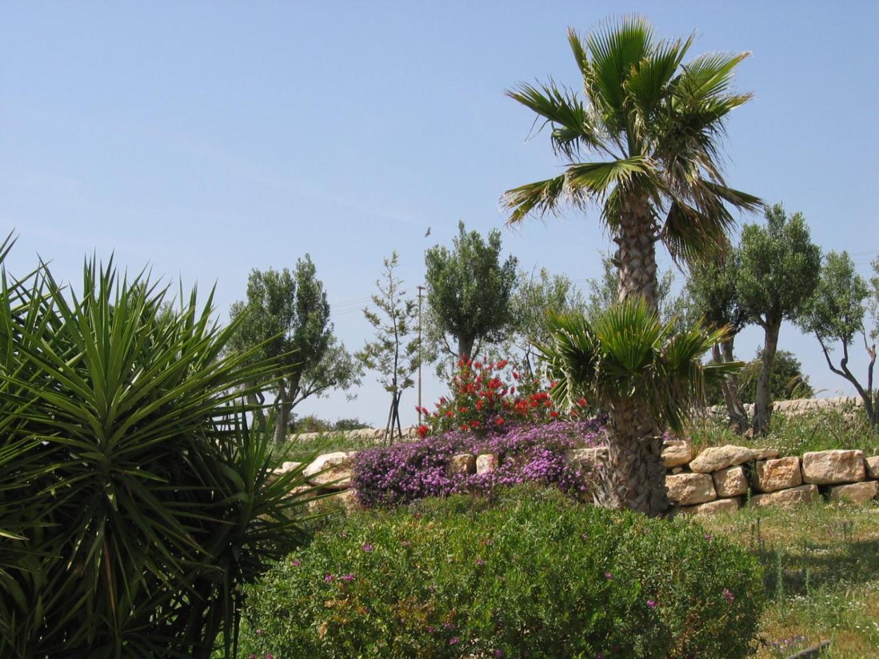 فندق Relais Parco Cavalonga دونافوغاتا المظهر الخارجي الصورة